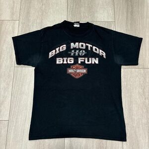 Harley Davidson T-Shirt Rochester Minnesota Graphic Size M